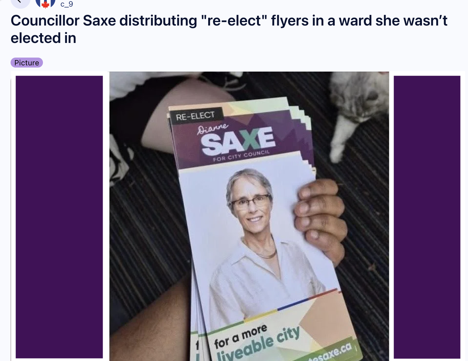 Dianne Saxe Re-election