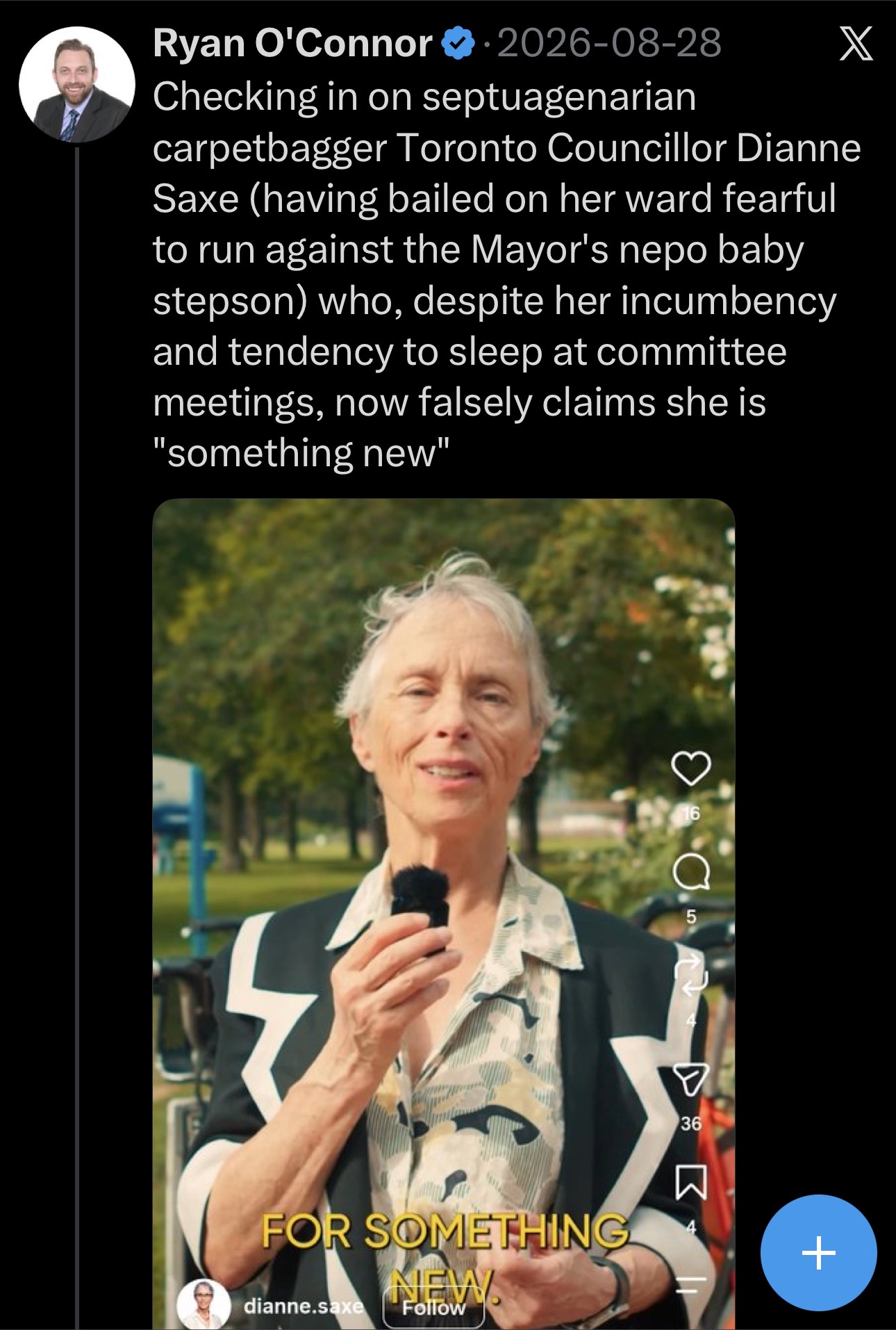 Dianne Saxe Something New campaign material